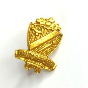 Vintage BETA SIGMA PHI Pin Shield Vita Scientia Amicitia Gold Tone